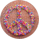 Sylvie Monnier profile picture